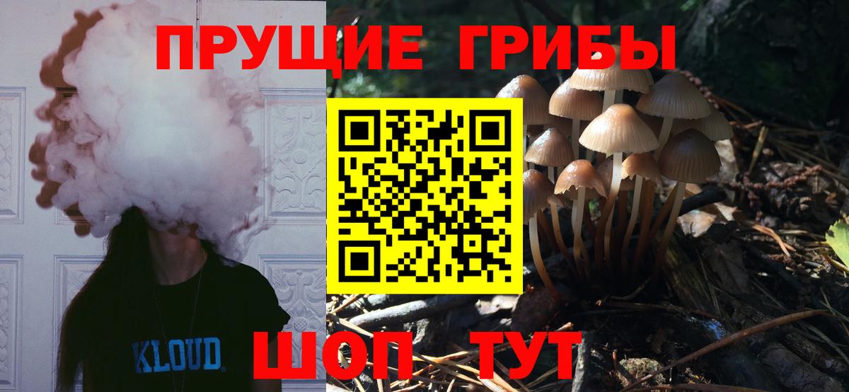 Нурлат  хочу   Вход с VPN  Галлюциногенные грибы Psilocybine cubensis 